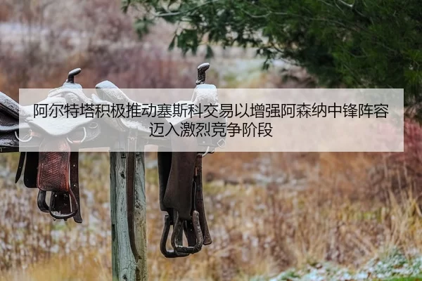 阿尔特塔积极推动塞斯科交易以增强阿森纳中锋阵容迈入激烈竞争阶段