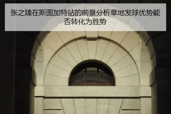 张之臻在斯图加特站的前景分析草地发球优势能否转化为胜势