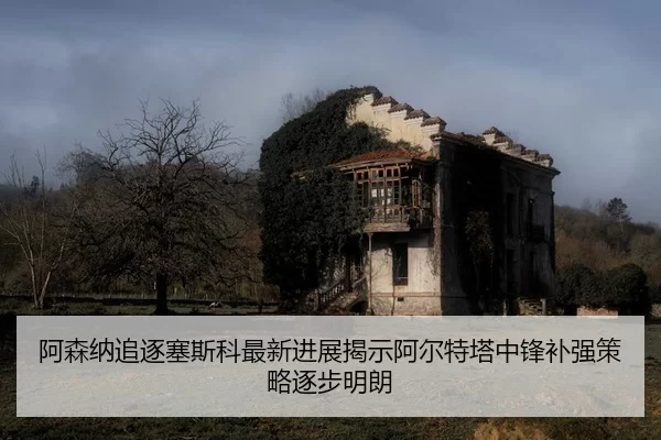 阿森纳追逐塞斯科最新进展揭示阿尔特塔中锋补强策略逐步明朗
