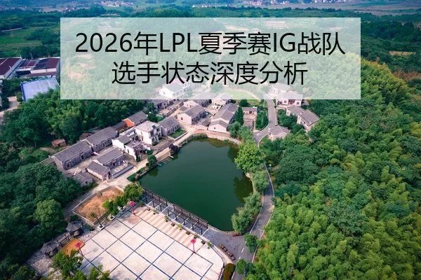 2026年LPL夏季赛IG战队选手状态深度分析