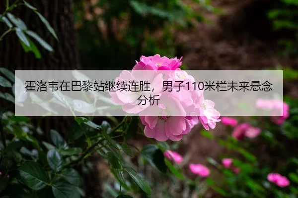 霍洛韦在巴黎站继续连胜，男子110米栏未来悬念分析