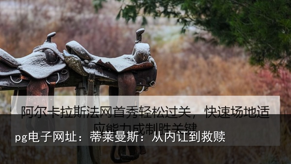 pg电子网址:蒂莱曼斯:从内讧到救赎