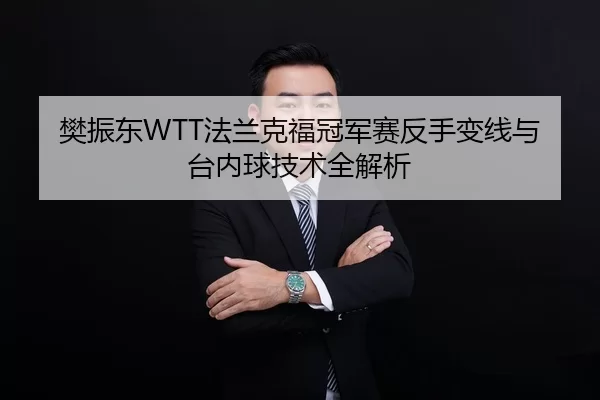 樊振东WTT法兰克福冠军赛反手变线与台内球技术全解析