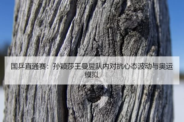 guo-ping-zhi-tong-sai-sun-ying-sha-wang-man-yu-dui-nei-dui-kang-xin-tai-bo-dong-yu-ao-yun-mo-ni-3-536.jpg