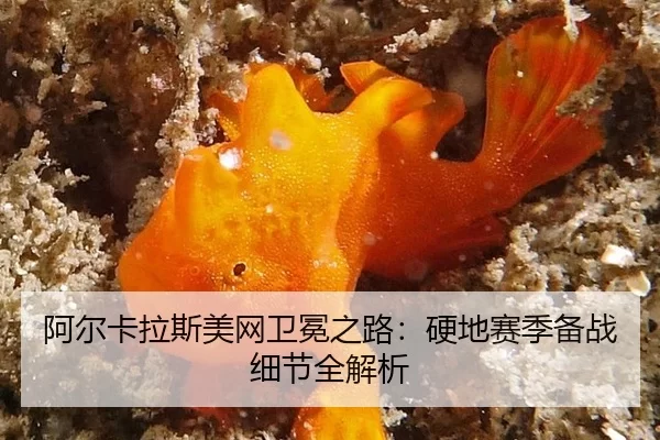 a-er-ka-la-si-mei-wang-wei-mian-zhi-lu-ying-di-sai-ji-bei-zhan-xi-jie-quan-jie-xi-2-345.jpg